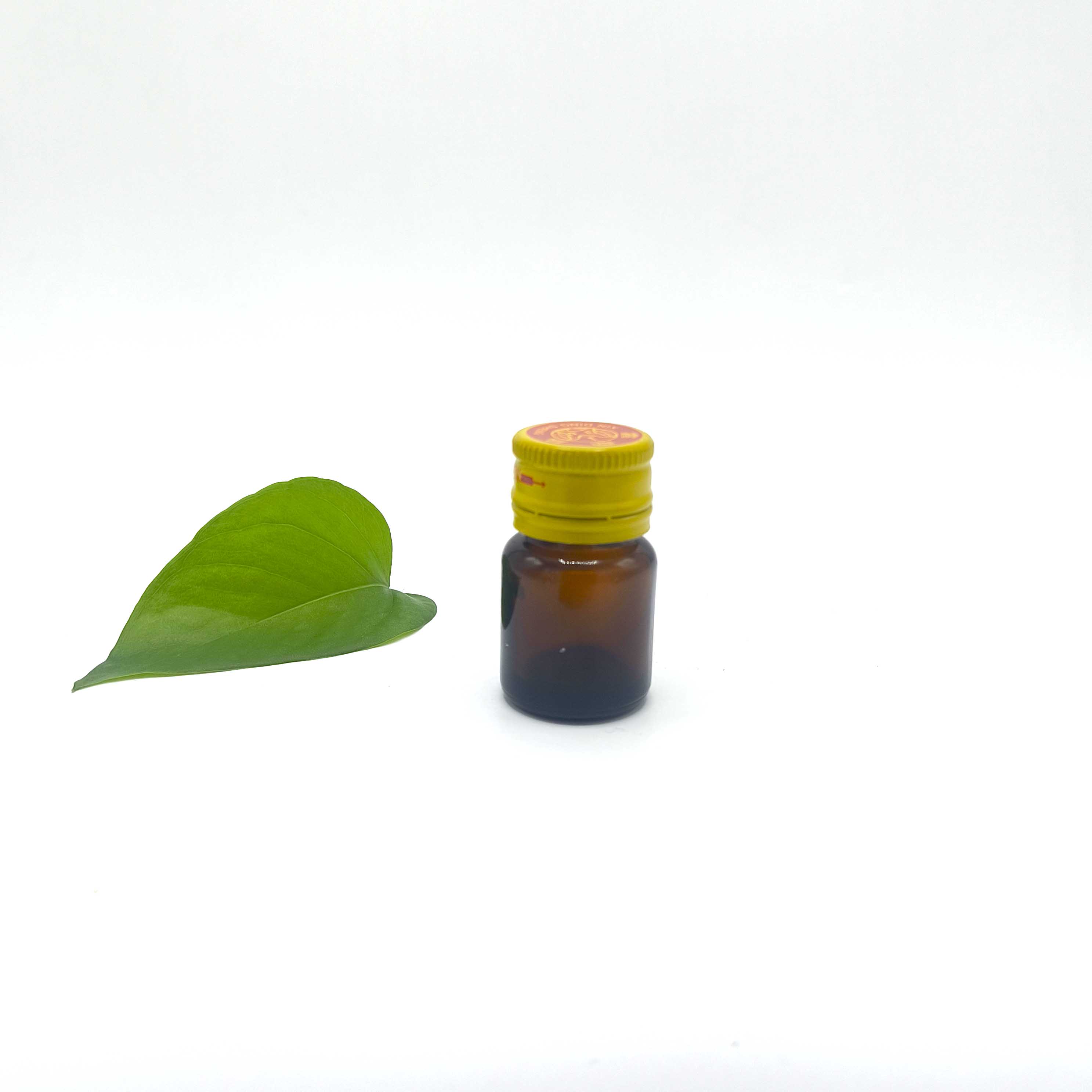 5ml botol kaca lisan